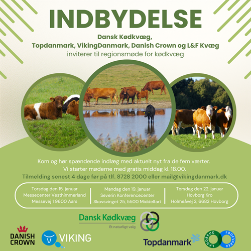 Tour de Kødkvæg 2026